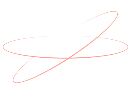 spider net